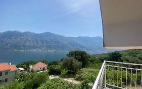 Apartments Djuricic